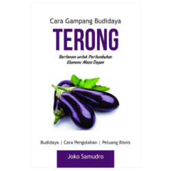 Cara Gampang Budidaya Terong Cara Gampang Budidaya Terong