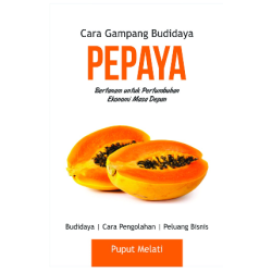 Cara Gampang Budidaya Pepaya Cara Gampang Budidaya Pepaya
