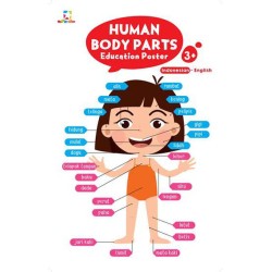 Education Poster: Human Body Parts Education Poster: Human Body Parts