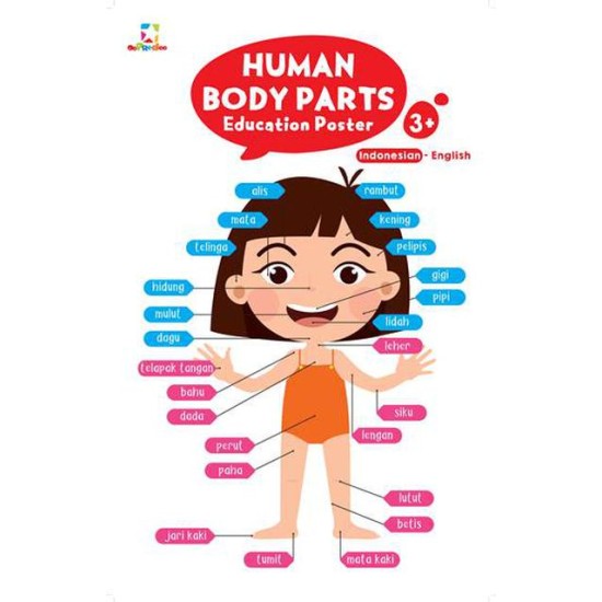 Education Poster: Human Body Parts