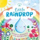 Little Raindrop (Nature Stories)