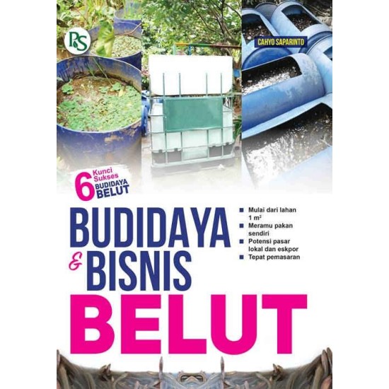 BUDIDAYA DAN BISNIS BELUT