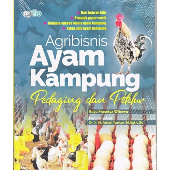 Agribisnis Ayam Kampung Pedaging dan Petelur