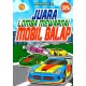 Juara Lomba Mewarnai Mobil Balap