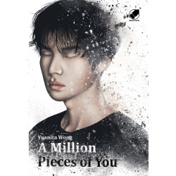 A Million Pieces Of You A Million Pieces Of You