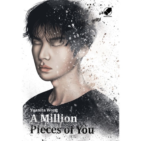 A Million Pieces Of You