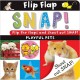 Flip Flap Snap Playful Pets