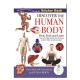 Human Body: Sticker Book: Wonders of Learning