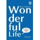 Wonderful Life (By Ryan Martian)