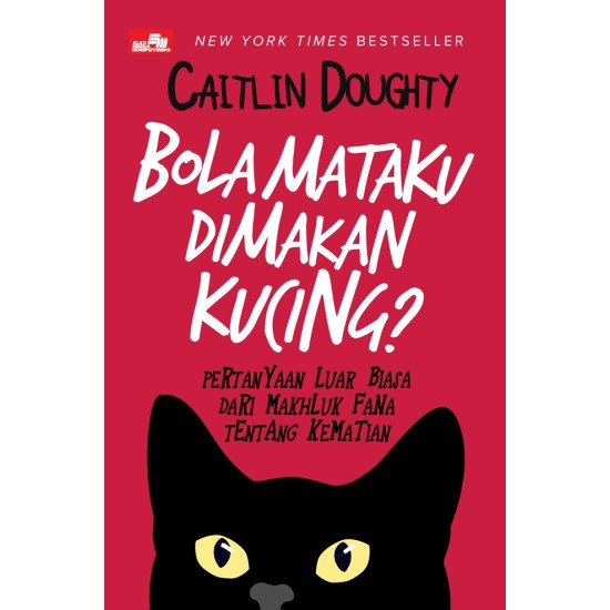 Bola Mataku Dimakan Kucing?