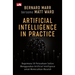 Artificial Intelligence In Practice Artificial Intelligence In Practice