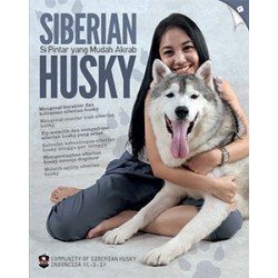 Siberian Husky: Si Pintar yang Mudah Akrab Siberian Husky: Si Pintar yang Mudah Akrab