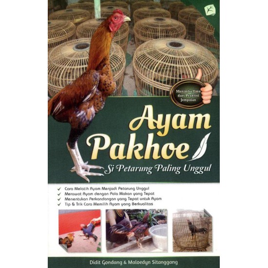 Ayam Pakhoe Si Petarung Paling Unggul