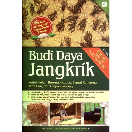 Budi Daya Jangkrik