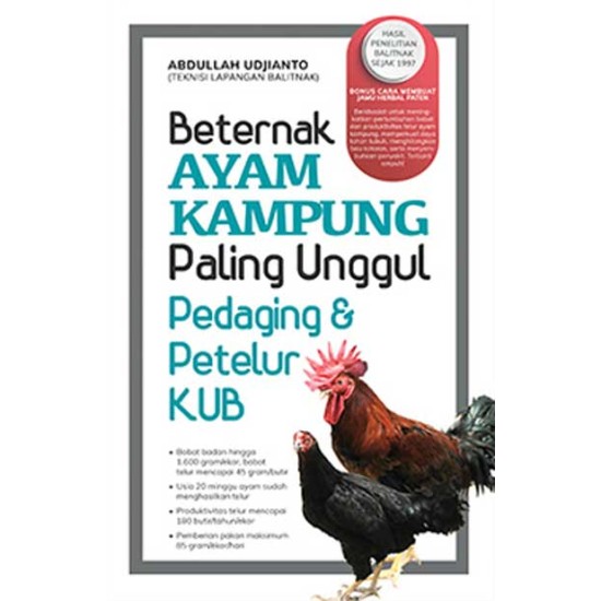 Beternak Ayam Kampung Paling Unggul : Pedaging & Petelur KUB