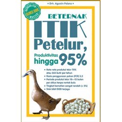 BETERNAK ITIK PETELUR : PRODUKTIVITAS HINGGA 95% BETERNAK ITIK PETELUR : PRODUKTIVITAS HINGGA 95%