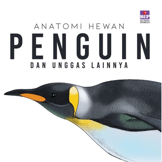 Seri Anatomi Hewan : Penguin Dan Unggas Lainnya
