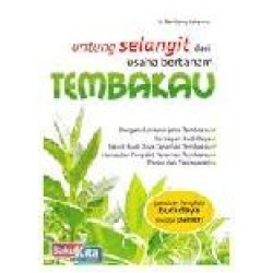 Untung Selangit Dari Usaha Bertanam Tembakau Untung Selangit Dari Usaha Bertanam Tembakau