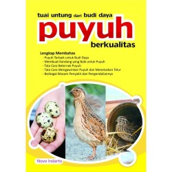 Tuai Untung Dari Budi Daya Puyuh Berkualitas Tuai Untung Dari Budi Daya Puyuh Berkualitas