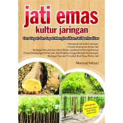 Jati Emas Kultur Jaringan Jati Emas Kultur Jaringan