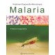 Pedoman Diagnostik Mikroskopis Malaria