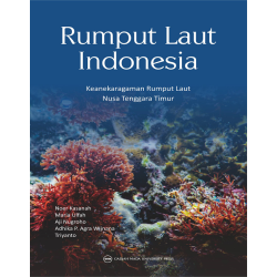 Rumput Laut Indonesia Nusa Tenggara Timur Rumput Laut Indonesia Nusa Tenggara Timur