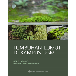 Tumbuhan Lumut di Kampus UGM Tumbuhan Lumut di Kampus UGM