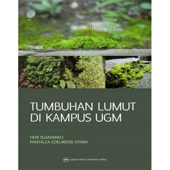 Tumbuhan Lumut di Kampus UGM