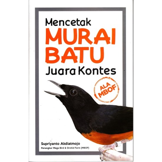 Mencetak Murai Batu Juara Kontes