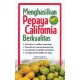 Menghasilkan Pepaya California Berkualitas