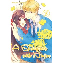 A Springtime with Ninjas 3 A Springtime with Ninjas 3