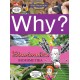 Why? Biomimetics - Biomimetika