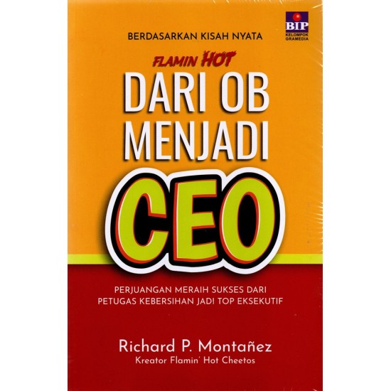 Buku Dari OB Menjadi CEO