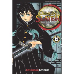 DEMON SLAYER: Kimetsu no Yaiba 12 DEMON SLAYER: Kimetsu no Yaiba 12