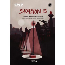 NOVEL SKELETON 13 NOVEL SKELETON 13