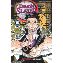 DEMON SLAYER: Kimetsu no Yaiba 15 DEMON SLAYER: Kimetsu no Yaiba 15