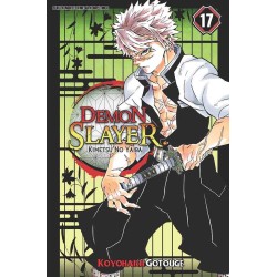 DEMON SLAYER: Kimetsu no Yaiba 17 DEMON SLAYER: Kimetsu no Yaiba 17