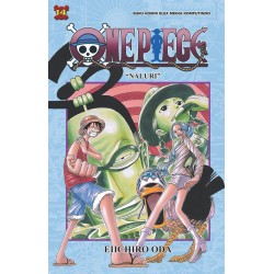 One Piece 14 (2024) One Piece 14 (2024)