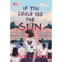 If You Could See the Sun If You Could See the Sun