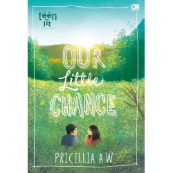 TeenLit: Our Little Chance TeenLit: Our Little Chance