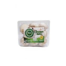 Sayur Jamur Champiqnon 250gr Sayur Jamur Champiqnon 250gr
