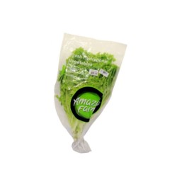Amazing Farm Selada Keriting Aeroponik 200gr Amazing Farm Selada Keriting Aeroponik 200gr