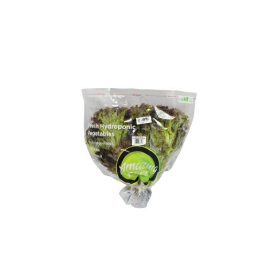 Amazing Farm Lolorosa Lettuce Aeroponik 200gr