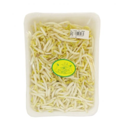 Willy Jaya Tauge Panjang 200gr Willy Jaya Tauge Panjang 200gr