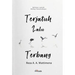 Terjatuh Lalu Terbang Terjatuh Lalu Terbang