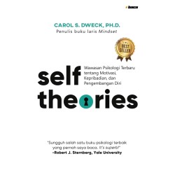 Self Theories Self Theories