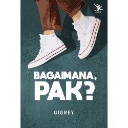 Bagaimana, Pak? Bagaimana, Pak?