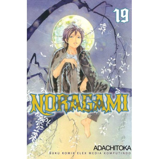 Noragami 19