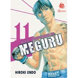 LC: All Rounder Meguru 11 LC: All Rounder Meguru 11