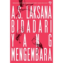 Bidadari Yang Mengembara Bidadari Yang Mengembara